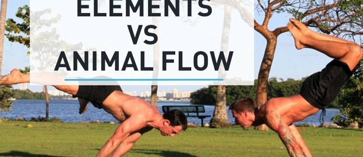 GMB Elements vs. Animal Flow - How do they compare?