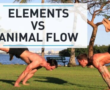 GMB Elements vs. Animal Flow - How do they compare?