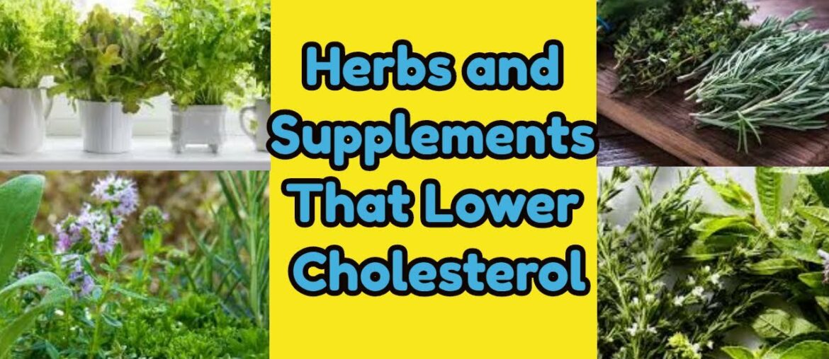 Herbs and Supplements That Lower Cholesterol | Health & Fitness Good