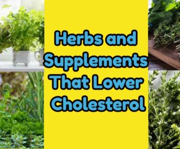 Herbs and Supplements That Lower Cholesterol | Health & Fitness Good