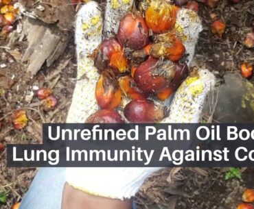 Unrefined palm oil discovered to  boost lungs immunity against covid 19.