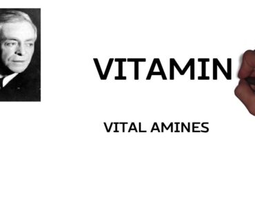 Behind the scenes of Vitamin Name - How was "Vitamin" name born?