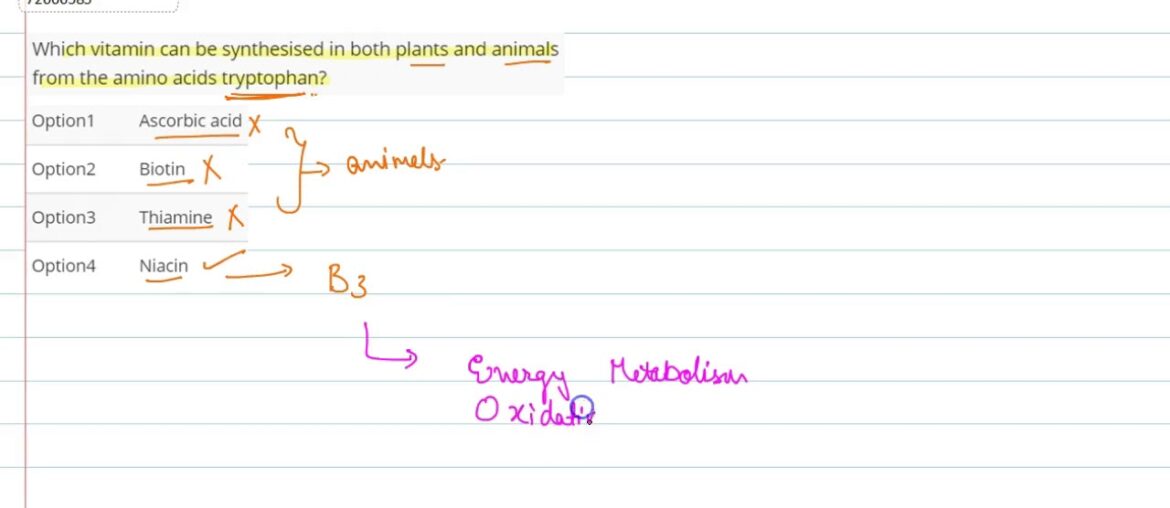 Which vitamin can be synthesised in both plants and animals from the amino acids tryptophan?