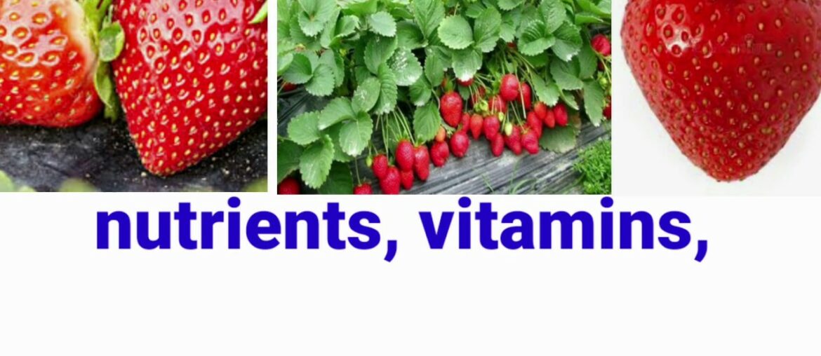 nutrients,vitamins,minerals and health benefits of stawberries