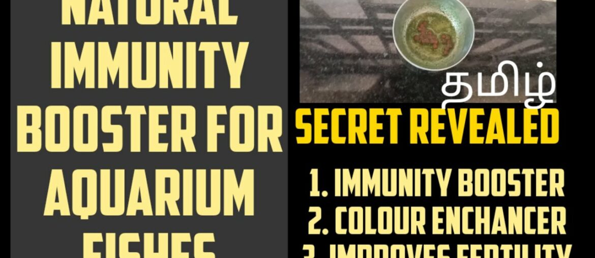 Natural Immunity Booster for Aquarium Fishes | Increase color & fertility | Aquapets & farming