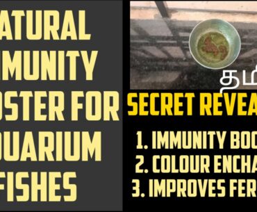 Natural Immunity Booster for Aquarium Fishes | Increase color & fertility | Aquapets & farming