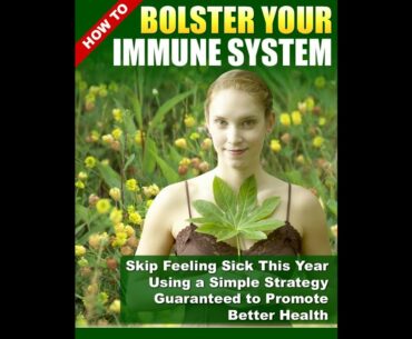 Boost Immune System How to Boost Your Immune System