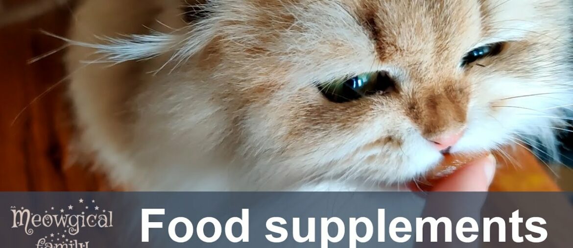 Food supplements for cats