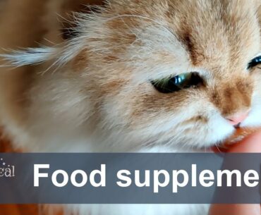 Food supplements for cats