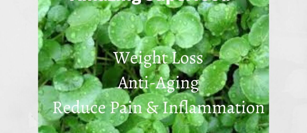 Reduce Pain, Lose Weight and Look Younger with this Superfood!