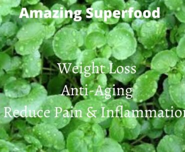 Reduce Pain, Lose Weight and Look Younger with this Superfood!