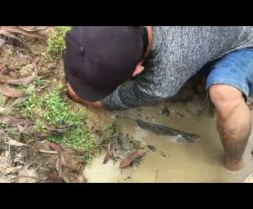 Experiment: Coca Cola, Fanta, Sprite, Vs Vitamin C Medicine Catch Fishes From Underground Hole