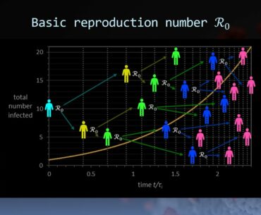 COVID-19 and epidemiology: 12.3: R0 and herd immunity - the SIR model