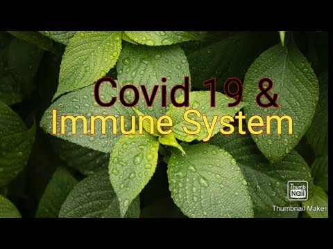 Covid-19 & Immune System || Ayush Ministry Guidelines || Ayurveda's Immunity Boost