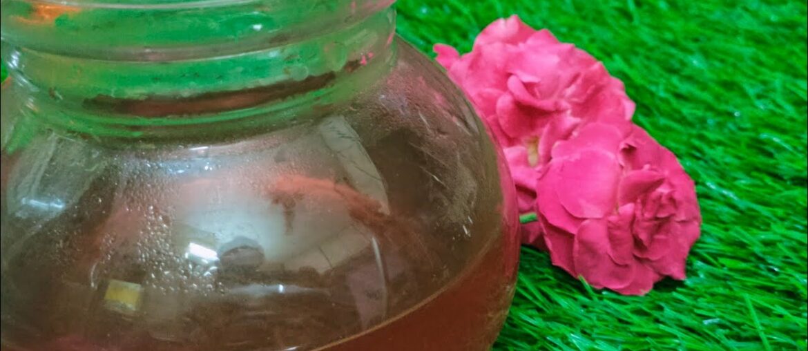 Rose Tea - Healthy Tea - Vitamin C Tea