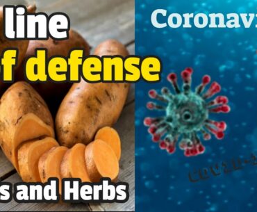 Juicing - build up your immune system to help beat the Coronavirus