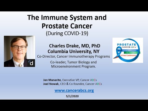 The Immune System, Prostate Cancer, & COVID-19