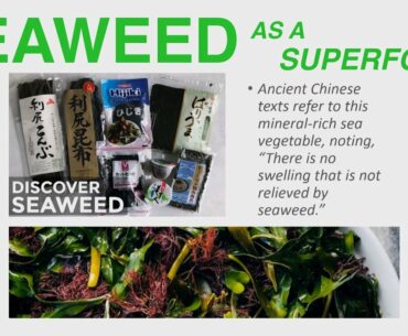 Seaweed as a Superfood - Vitamins, Minerals, Fiber and Protein