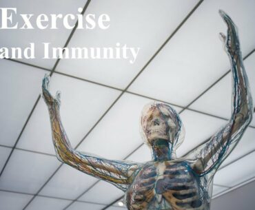 Exercise, Immunity and COVID-19