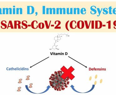 Vitamin D, Immune System & SARS-CoV-2 (COVID-19) | Mechanism of Vit D Immune Regulation & Overview