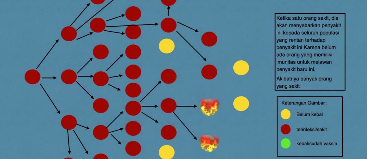 Animasi Pola Penyebaran Covid-19 dan Kondisi Herd Immunity ||VoxNtt.com