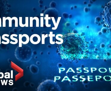 Coronavirus outbreak: Could immunity passports become the new normal?