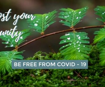 IMMUNITY BOOSTER + FREE FROM COVID-19 (POWERFUL SANSKRIT MANTRAS INCLUDED) Reiki Healing Music Ver.