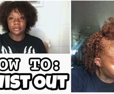 TWIST OUT ON SHORT/MEDIUM NATURAL HAIR