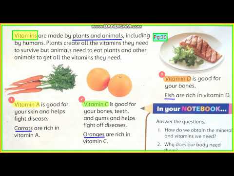 Science 4th Ch 4 Food and diet Vitamins