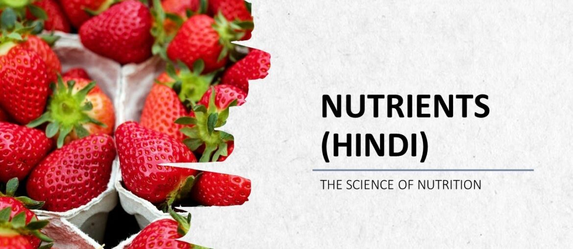 Nutrients Introduction – 6 Major Classes of Nutrients and their Functions in Hindi