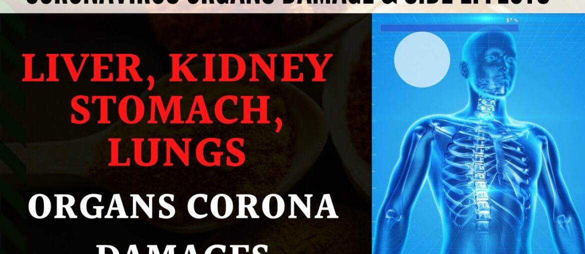 5 Human Body Organs Coronavirus Damages - Corona Virus Liver, Kidney, Stomach, Immunity Side Effects