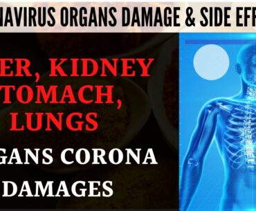 5 Human Body Organs Coronavirus Damages - Corona Virus Liver, Kidney, Stomach, Immunity Side Effects