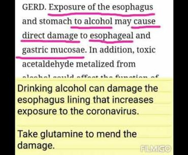 Alcohol consumption reduces glutamine absorption that can protect against Covid-19 coronavirus