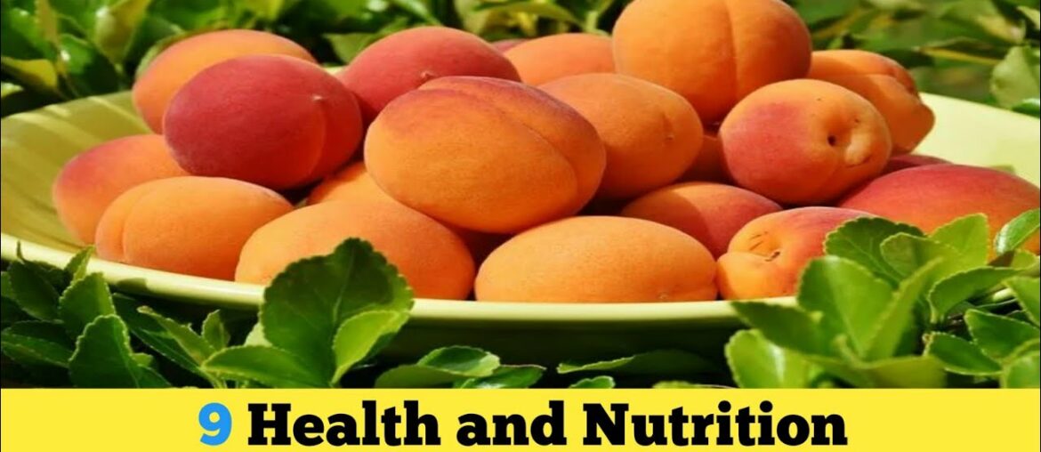 9 Health and Nutrition Benefits of Apricots