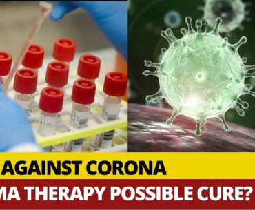 Will Plasma Therapy Cure COVID-19?; India In Final Stages Of Clinical Trial For Therapy