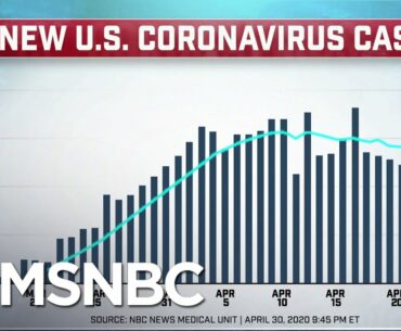 States Reopen Despite Falling Short Of Standards Set By Coronavirus Task Force | Deadline | MSNBC