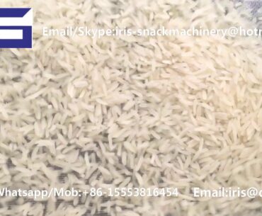 Nutrition rice Extruder Machine/Vitamin Fortified rice production line