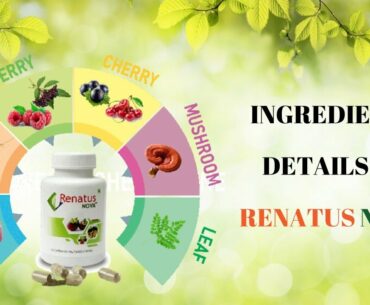 Ingredients Details of Renatus Nova | Renatus Wellness Pvt. Ltd.