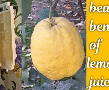 Beauty Benefits of Lemon Juice / Brighten and Lighten Skin with Lemon / Urdu/Hindi