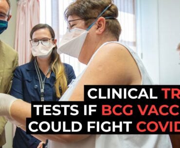 Clinical trial to test if BCG vaccine could help against Covid-19