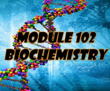 46/ Biochemistery Vitamins lecture 46 dr. seba3i module 102