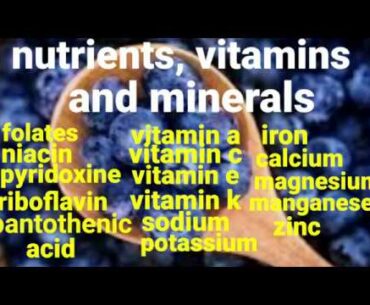 nutrients,vitamins,minerals and health benefits of blueberries