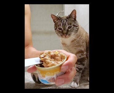 Purina Fancy Feast® Delights with Cheddar Grilled Tuna & Cheddar Cheese Wet Cat Food in Gravy