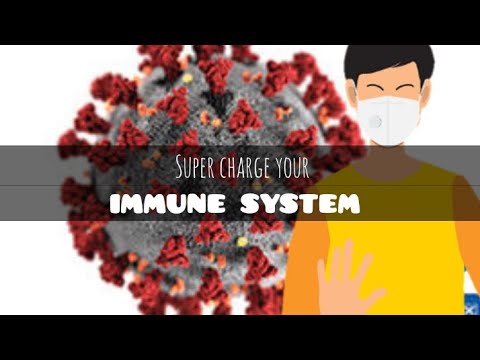 Food Nutrients to Supercharge Your Immune System  #healthreigns #immunesystem #coronavirus