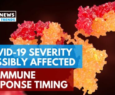 COVID-19 Severity Possibly Affected By Immune Response Timing