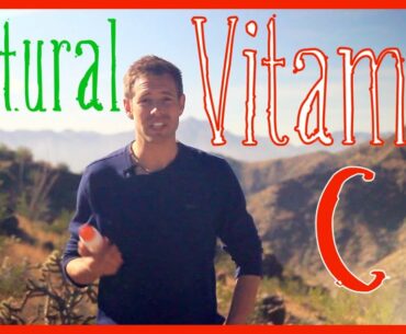 100% Natural Vitamin C Source - Most Supplements Are Synthesized!