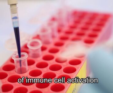 Hebrew University: Limiting Immune Cell Activation to Fight COVID-19