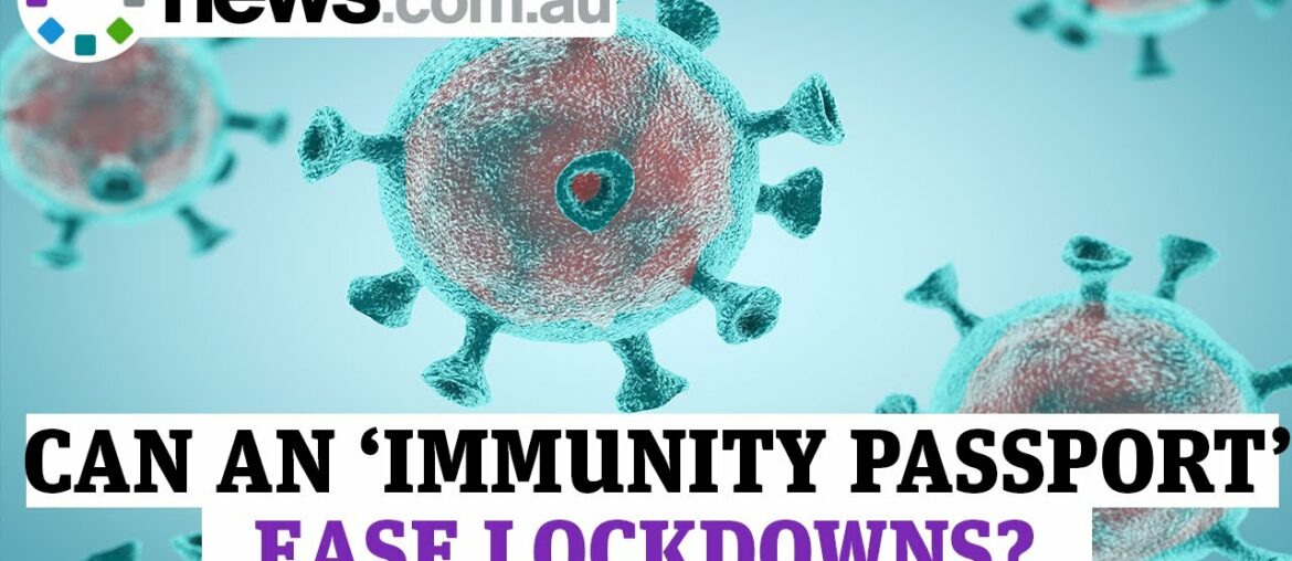 Can an 'immunity passport' ease coronavirus lockdowns?