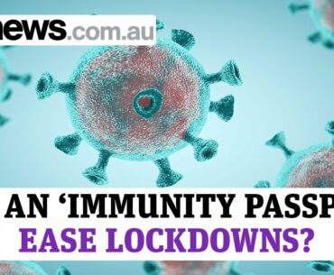 Can an 'immunity passport' ease coronavirus lockdowns?