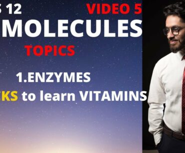 biomolecules class 12 |VIDEO 5 | ENZYMES & VITAMINS ,tricks to learn vitamins | by rishabh kakkar